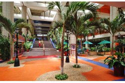 MELIÁ PUERTO VALLARTA